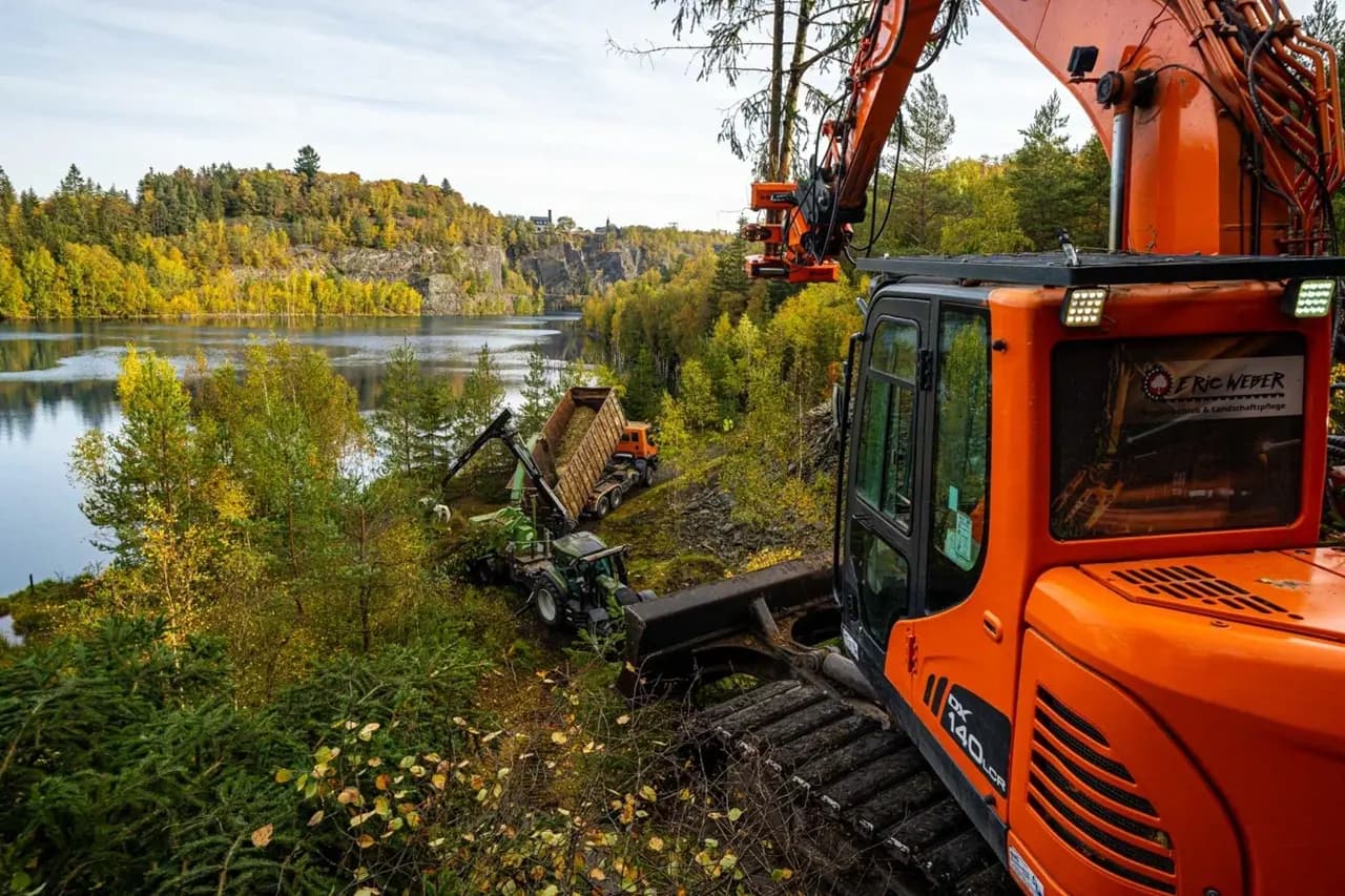 Holzschere im Einsatz