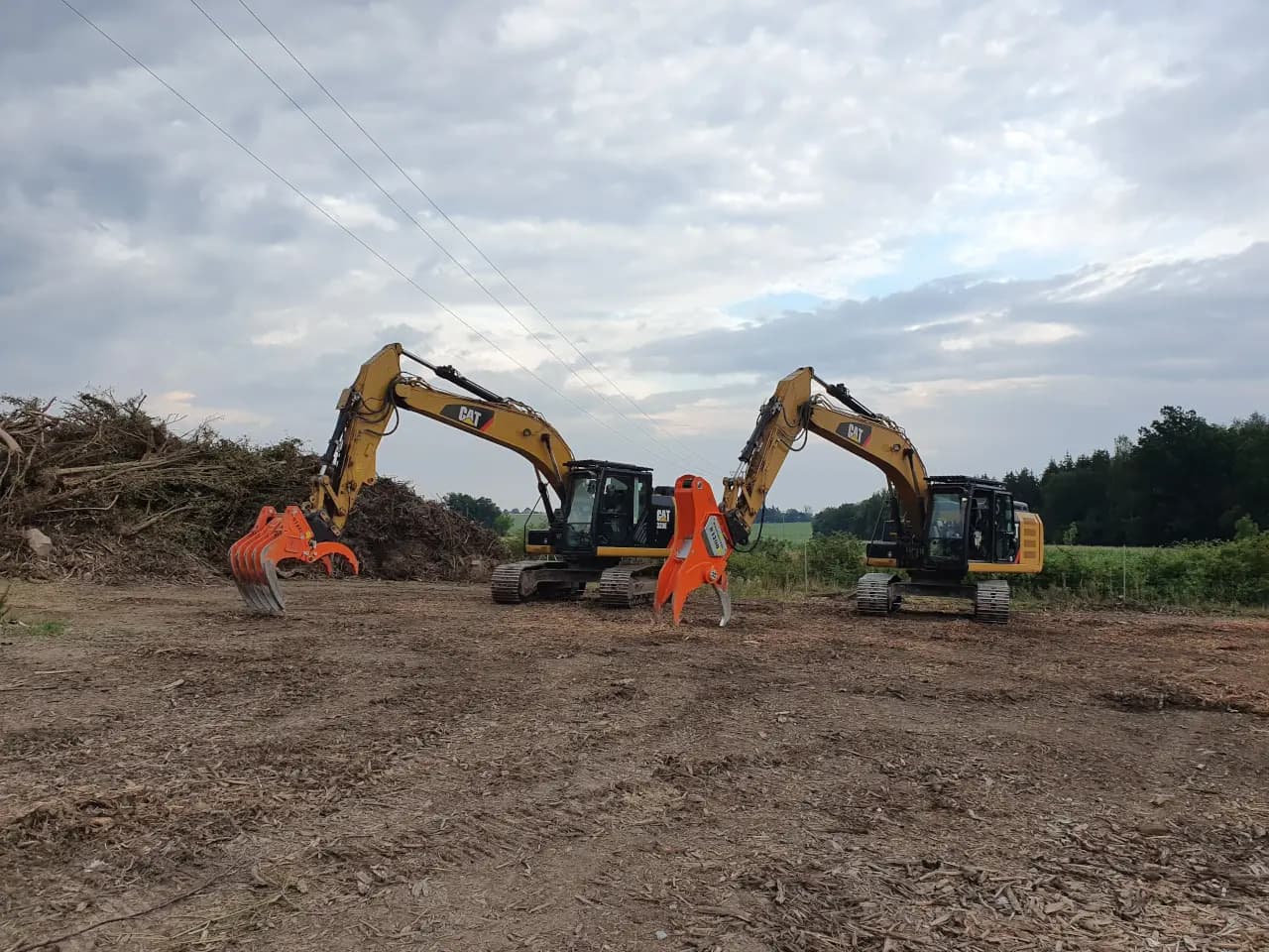Forst- & Rodungsbagger